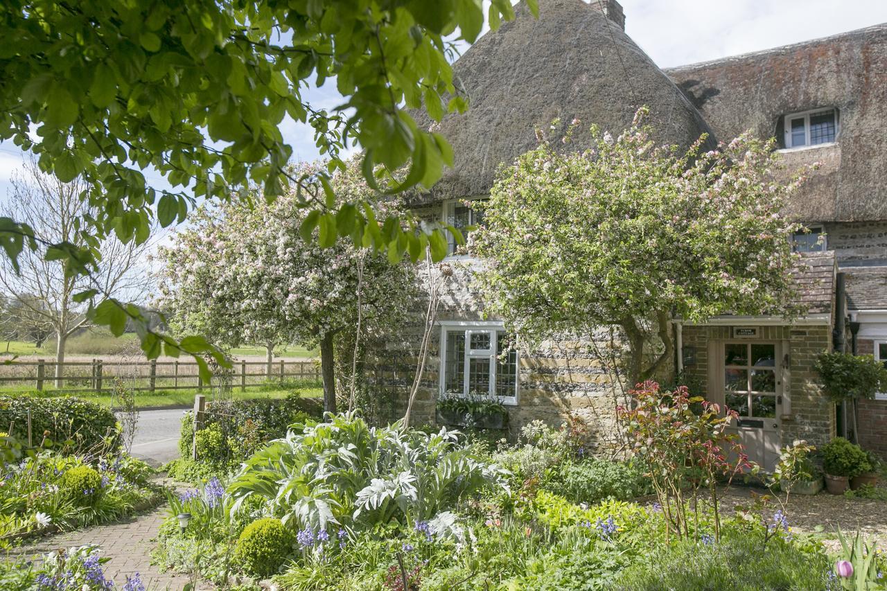 Tudor Cottage B&B Frampton Dorchester Exterior foto